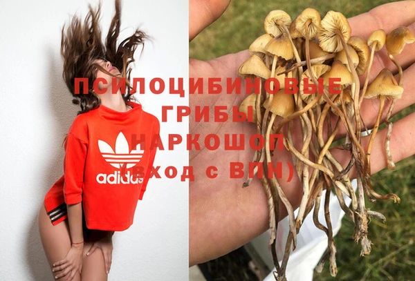 героин Алзамай