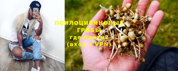герыч Алексеевка